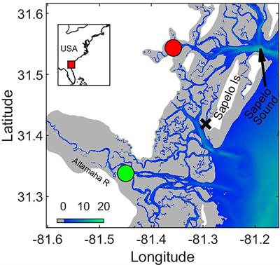 The Effects of Hurricanes and Storms on the Composition of Dissolved Organic Matter in a Southeastern U.S. Estuary